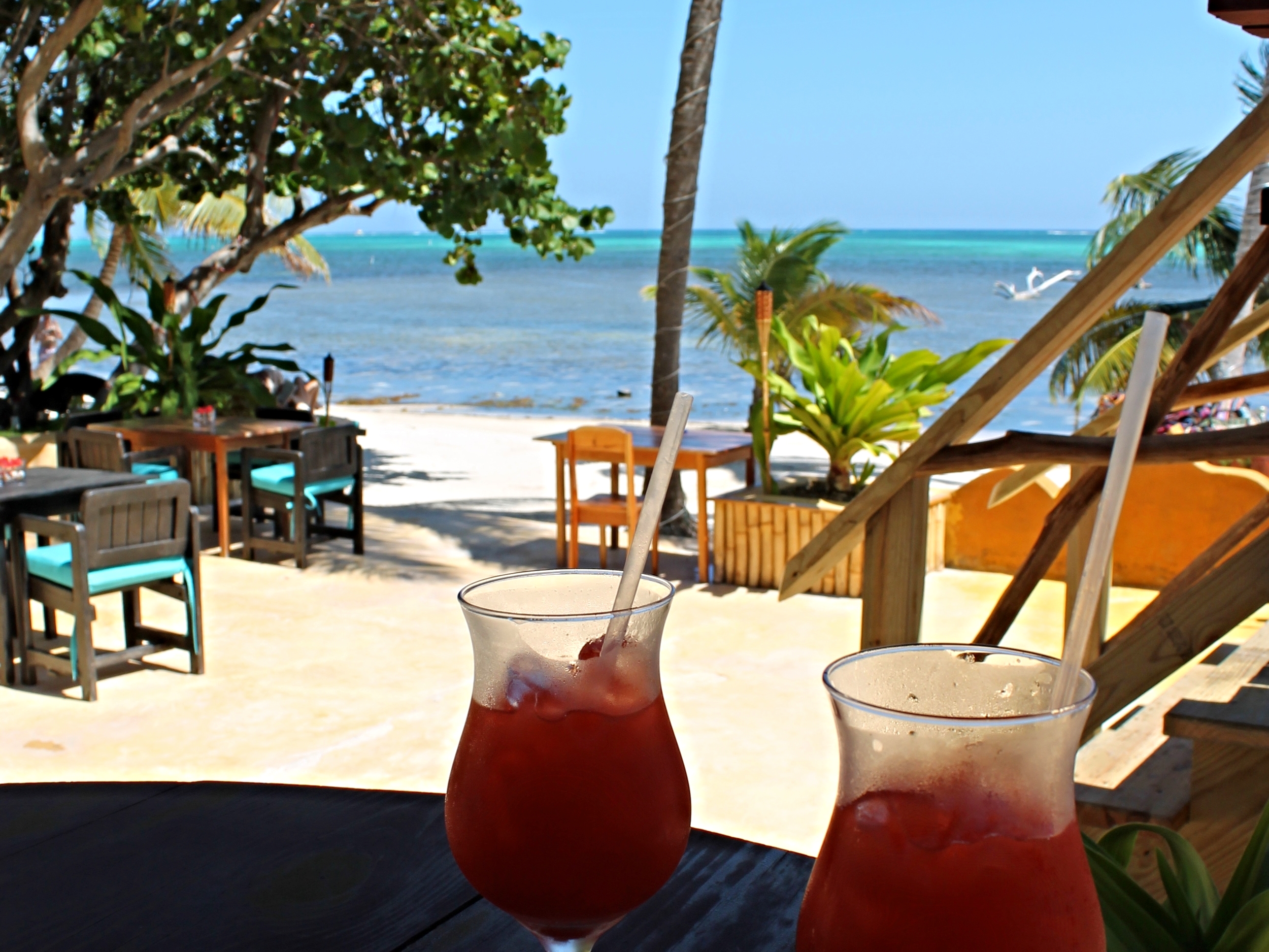 Tropical refreshments - with a view of the reef!