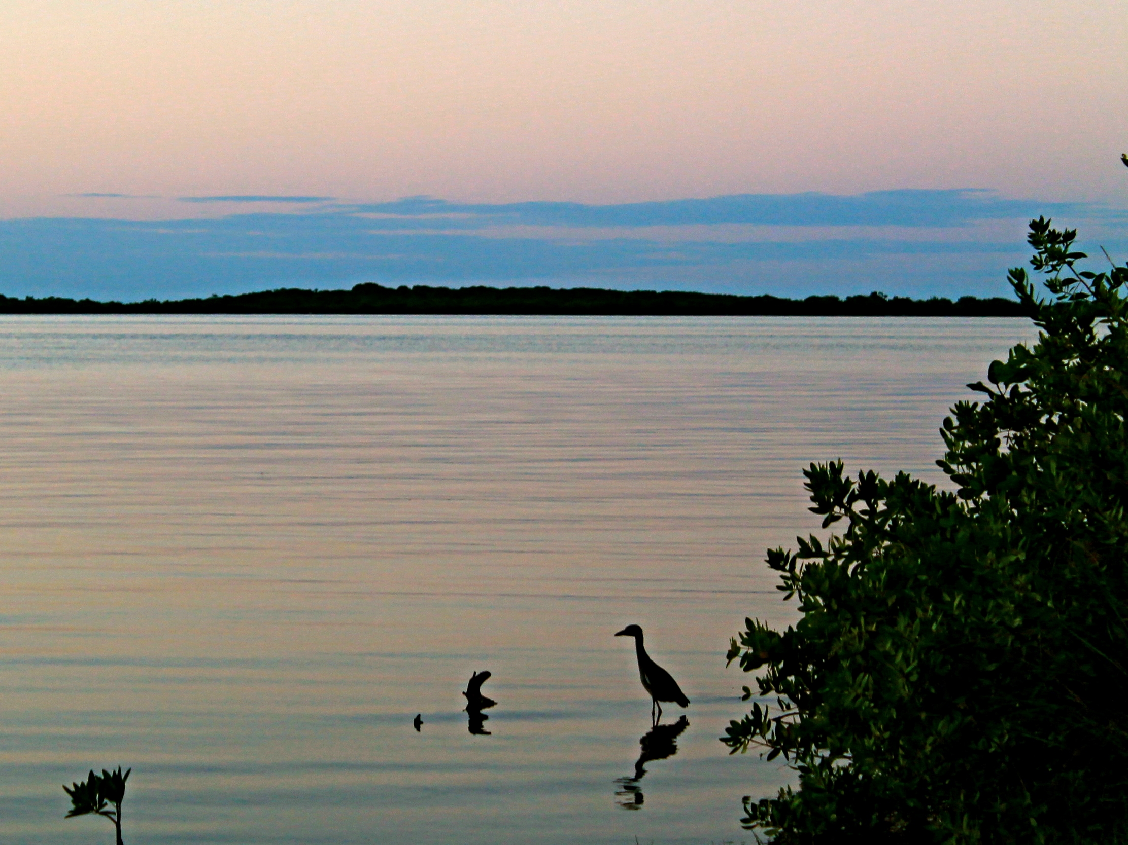 The placid Placencia Lagoon in a great place to spot birds, go kayaking, or fishing