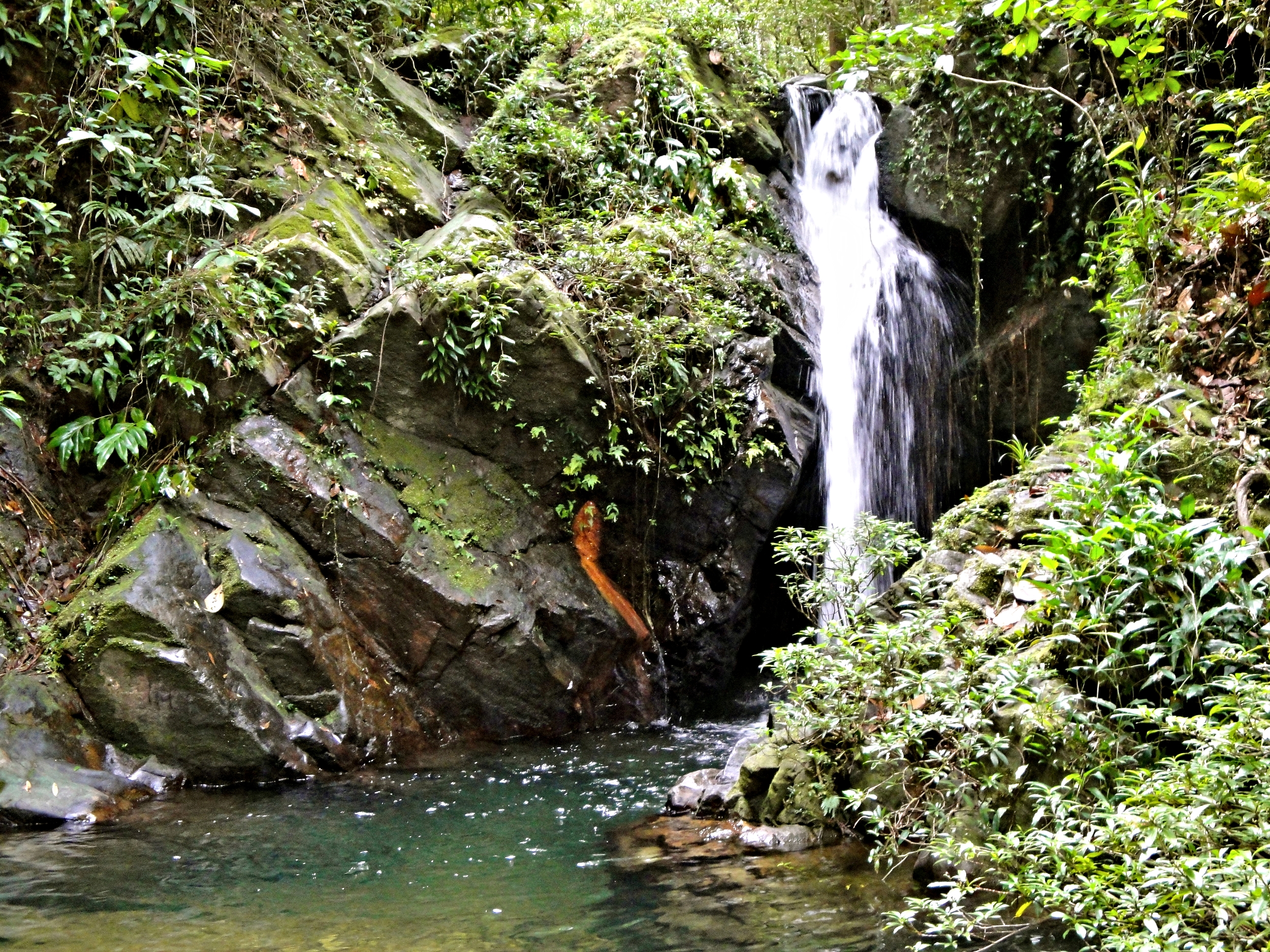 Several waterfalls lie hidden in the forests of the Cockscomb Basin