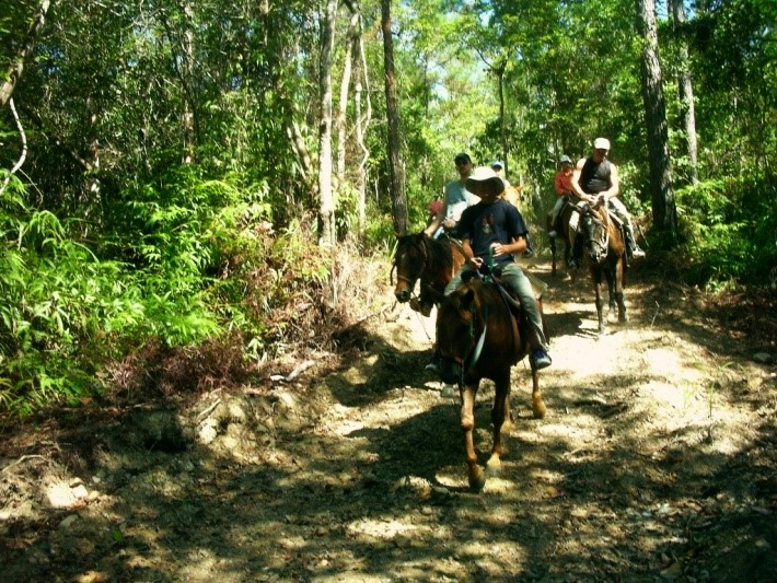 Horseback Riding through the jungle along the Belize Central Coast