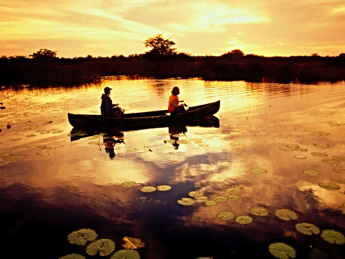 Taking in the dawn by canoe on the New River Lagoon