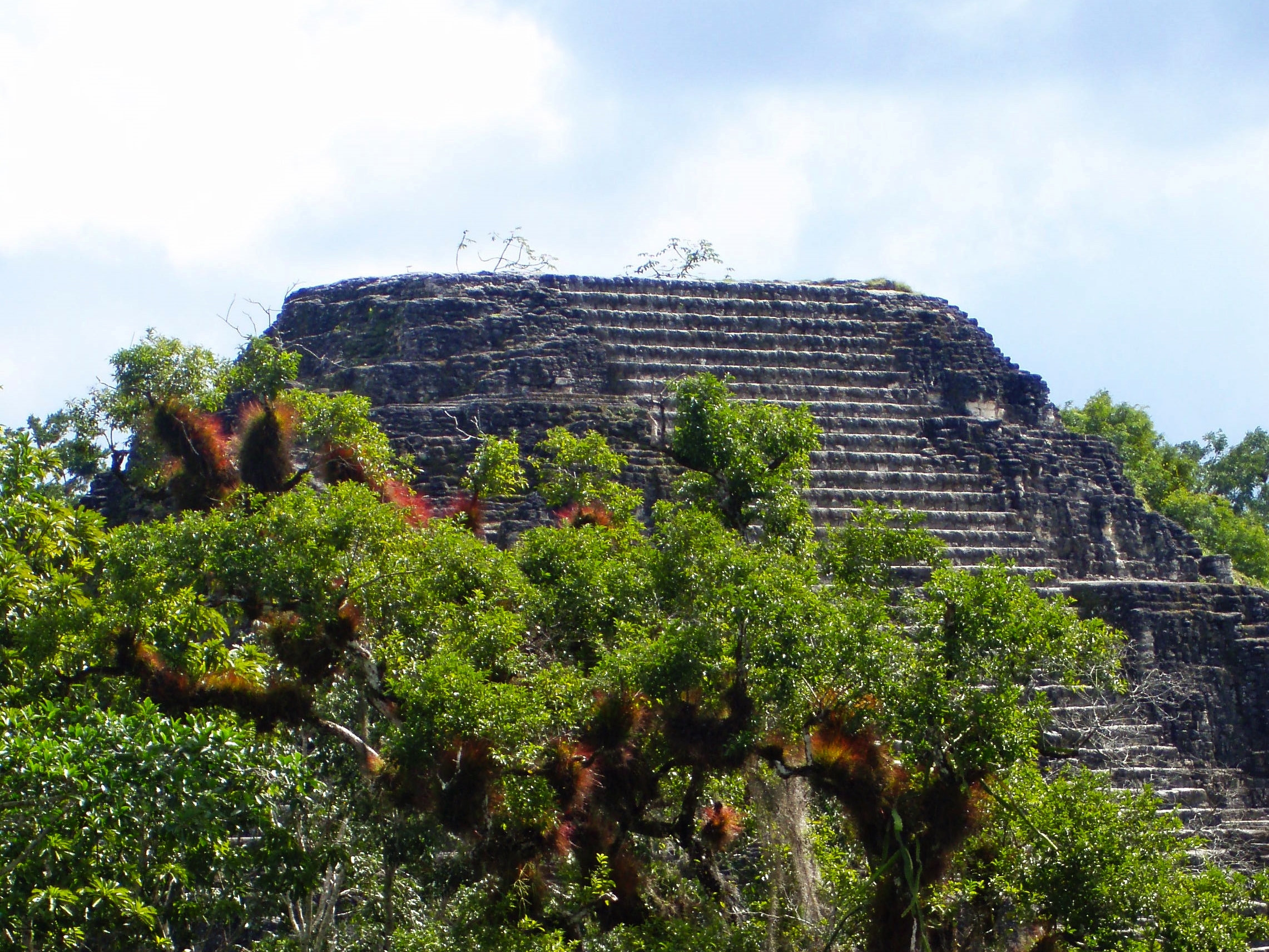 A pyramid rises above the canopy at Tikal's "Lost World"