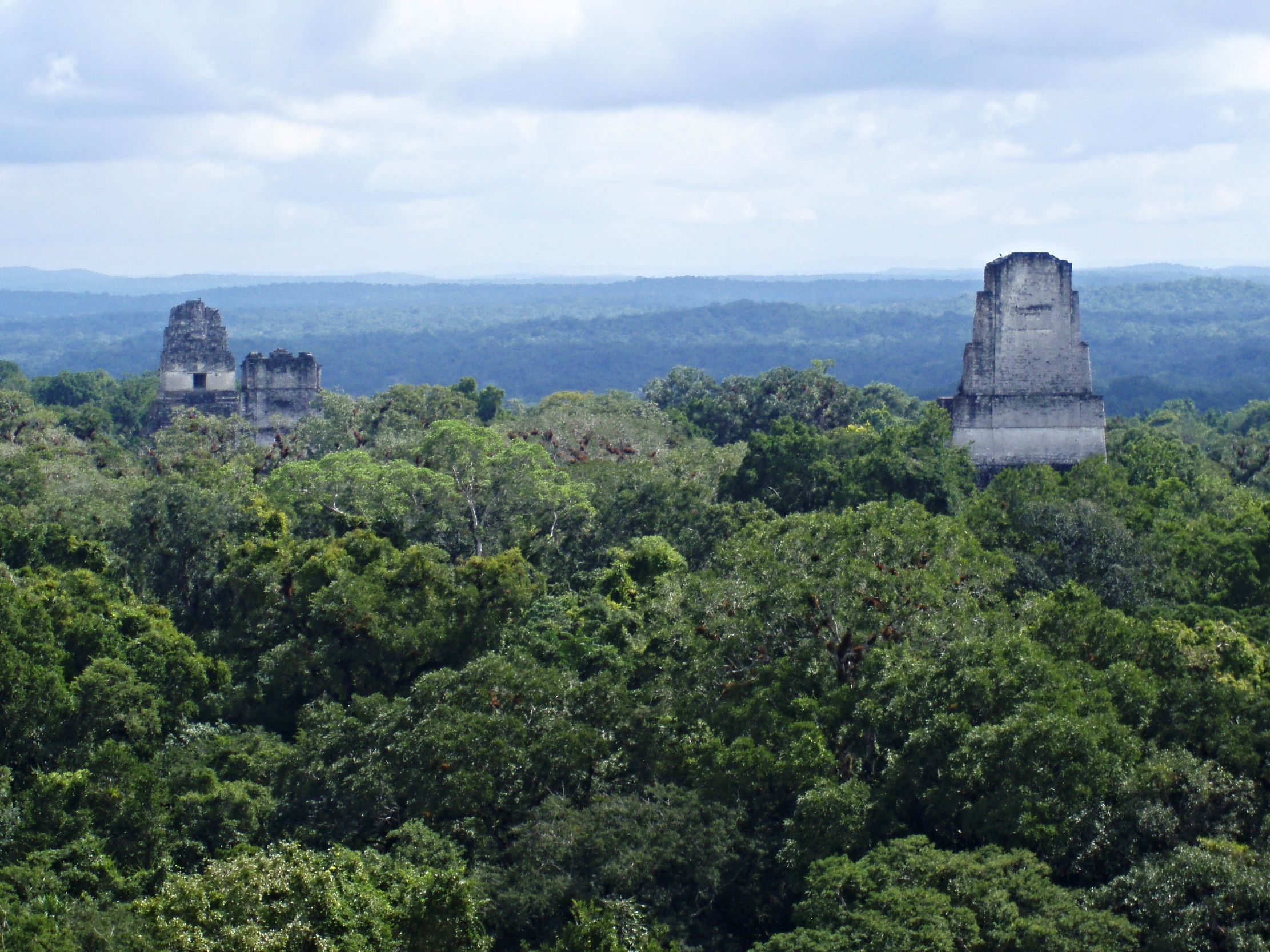 The view of the Temples One, Two and Three as seen from the top of Temple Four at Tikal