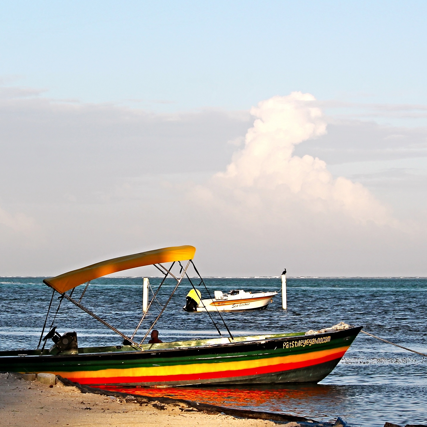 Transportation Options for Getting Around Belize