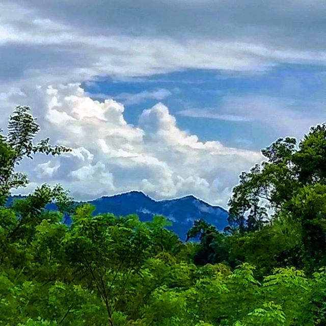 Blue skies after the storm. Breath deeply.
.
.
.
#Belize #rain #rainclouds #rainforest #storm #rainyday #lush #Sabrewingtravel #adventure #vacation #caribbean #travel #nature #naturephotography #wild #wildlifephotography #wildlife #bucketlist #mybeau