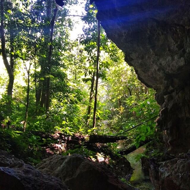 A journey to #Xibalba, the #Maya #Underworld, is beautiful and exciting!
.
.
.
#jungle #cavesbranch #rainforest #caving #cavingadventure #waterfallcave #jungleresort #bats #flowstone #Sabrewingtravel #adventure #vacation #caribbean #travel #nature #w