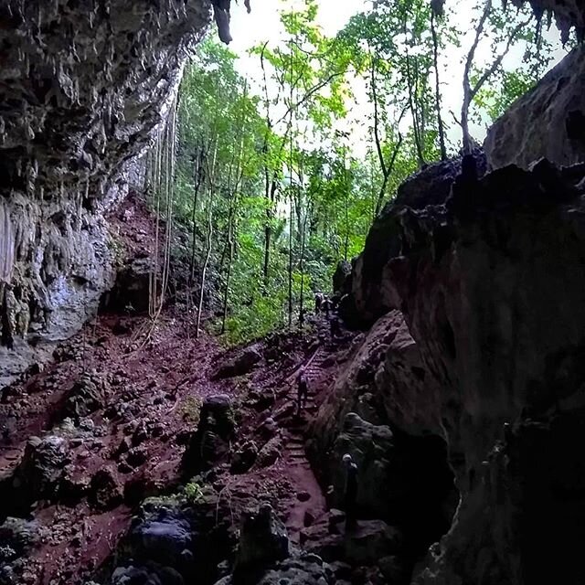 The adventure starts here.
.
.
.
#belize #jungle #junglelodge #sleepinggiant #rainforest #caving #underworld #maya #jungleresort #xibalba #offthebeatenpath #Sabrewingtravel #adventure #vacation #caribbean #travel #nature #wild #live #bucketlist #luxu