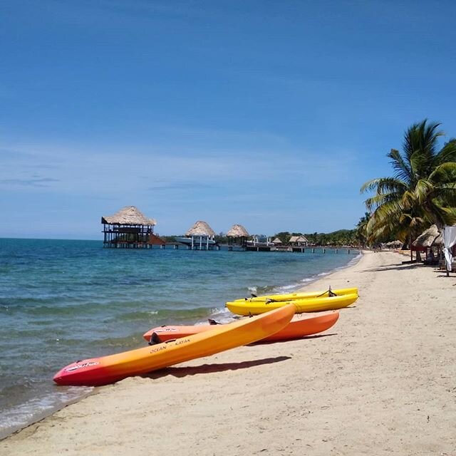 Well it's official: #Belize is still a #beautiful #paradise! We'll be waiting for you!
.
.
.
#belizeandreams #seakayaking #belize #jaguarreeflodge #beachvilla #luxury #beachlounge #palapa #beachfront #chill #beach #Sabrewingtravel #sunbathing #barefo