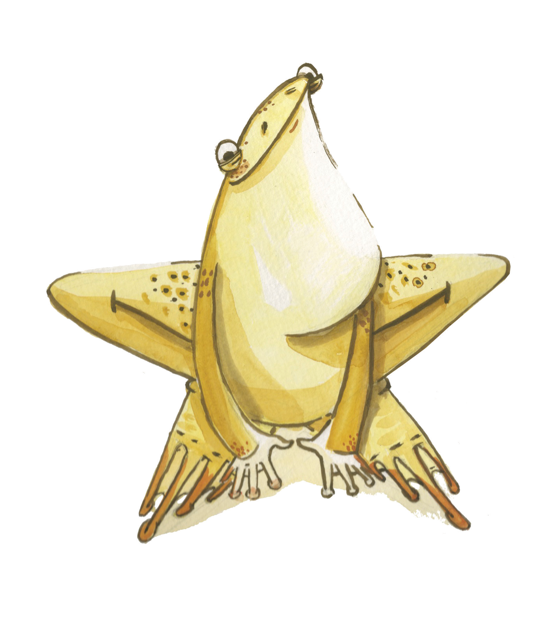 Frog-WEB.png