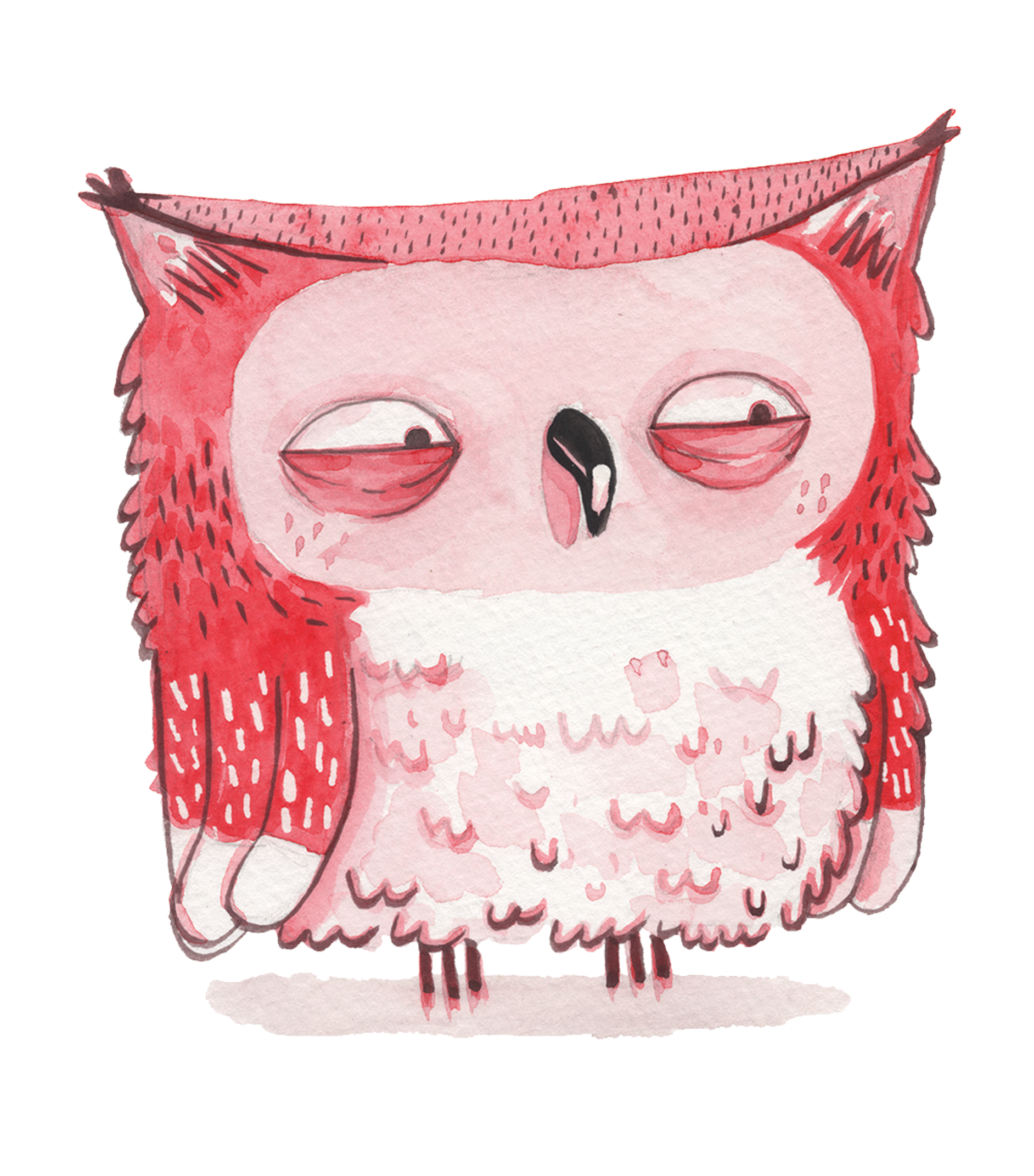 OWL-WEB.png
