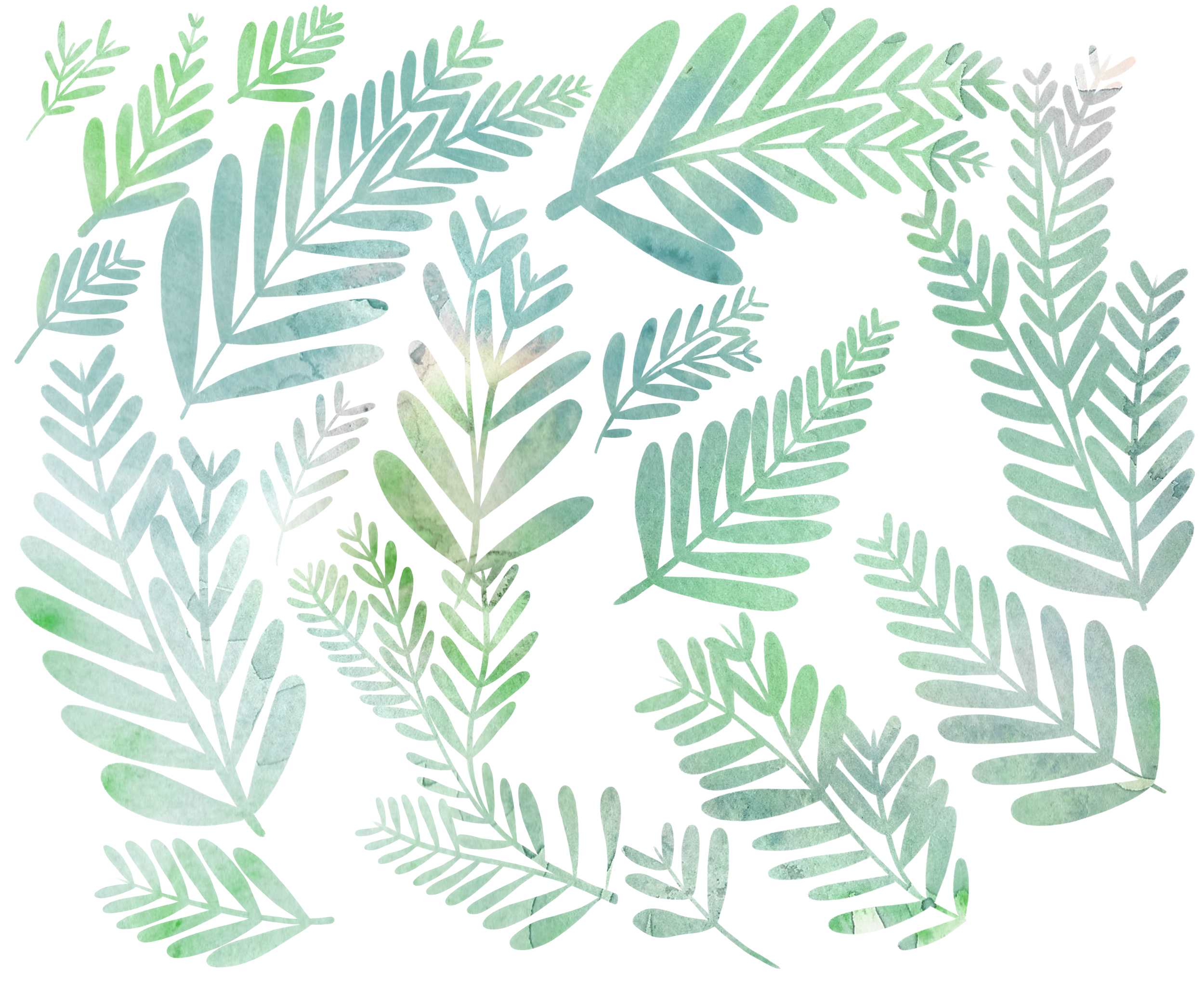 Leaf-SketchWEB1.png
