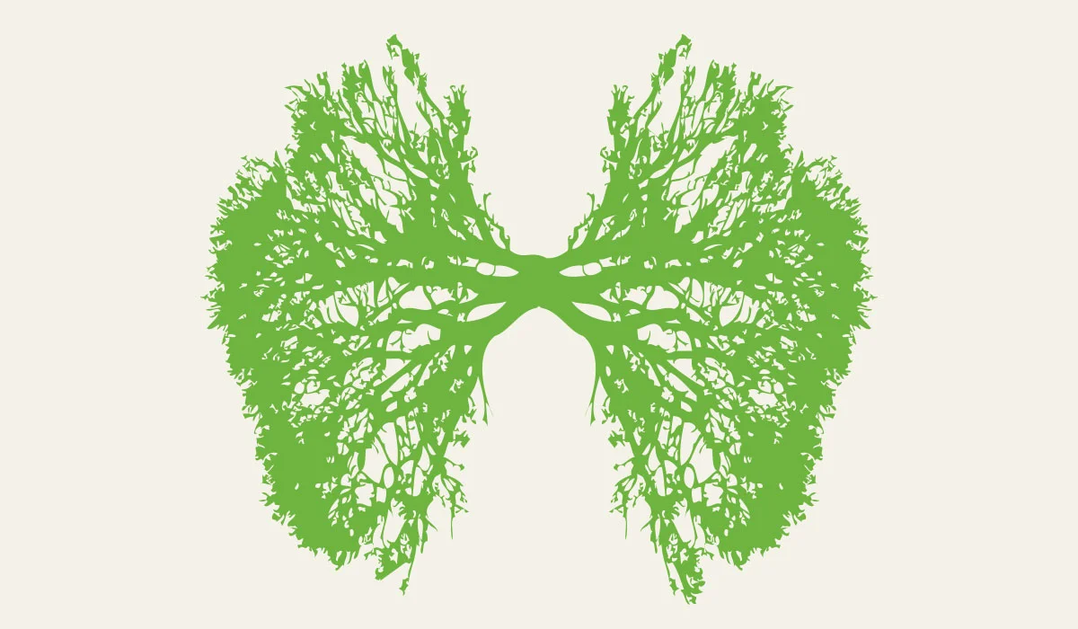 jkdc_greenteam-respiration.jpg