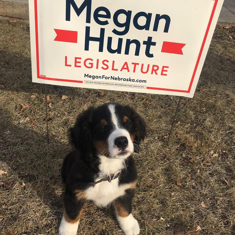 jkdc_meganforlegislature-instagram_puppy.jpg