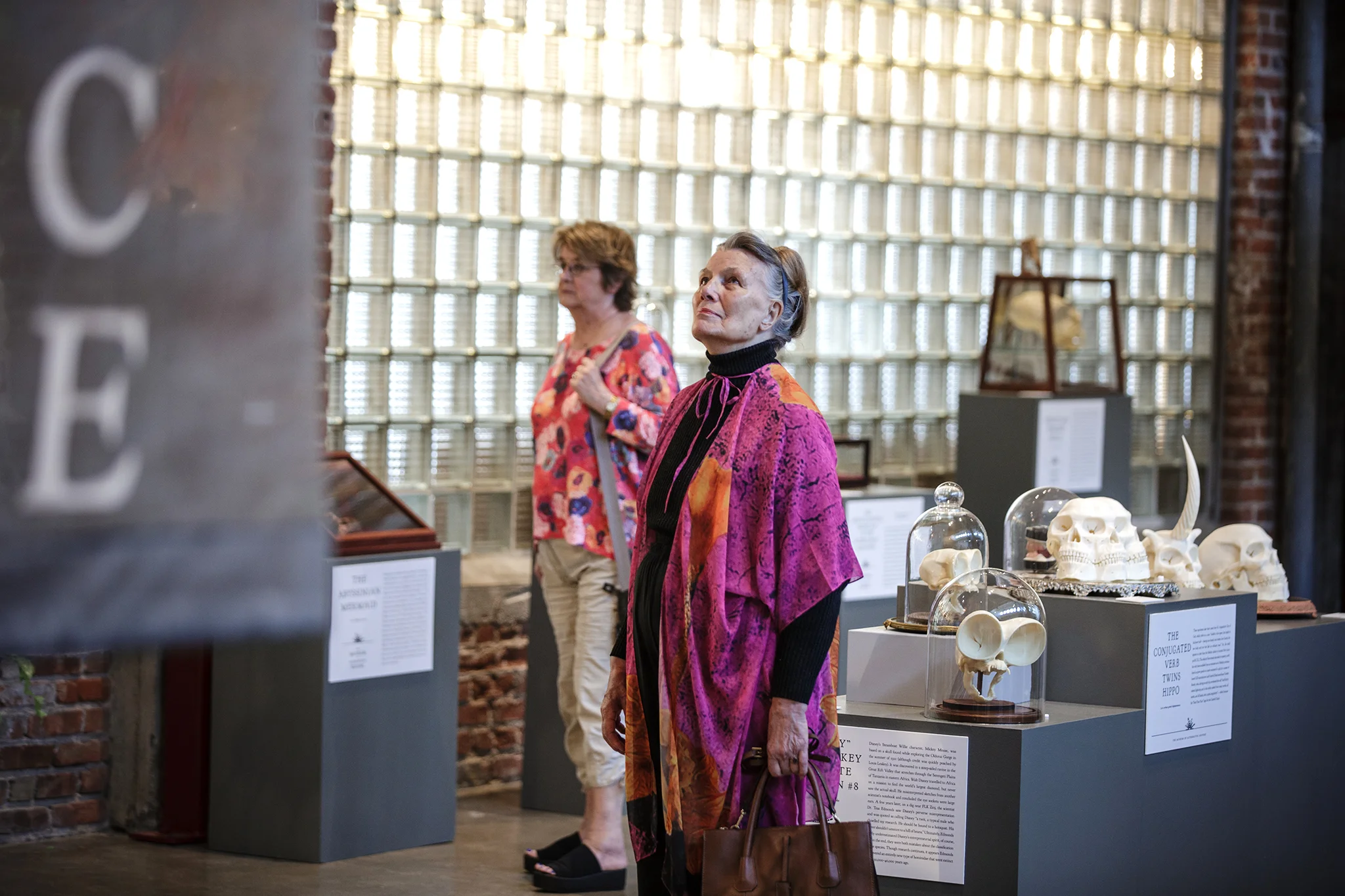 jkdc_moahkaneko-skullcollection.jpg