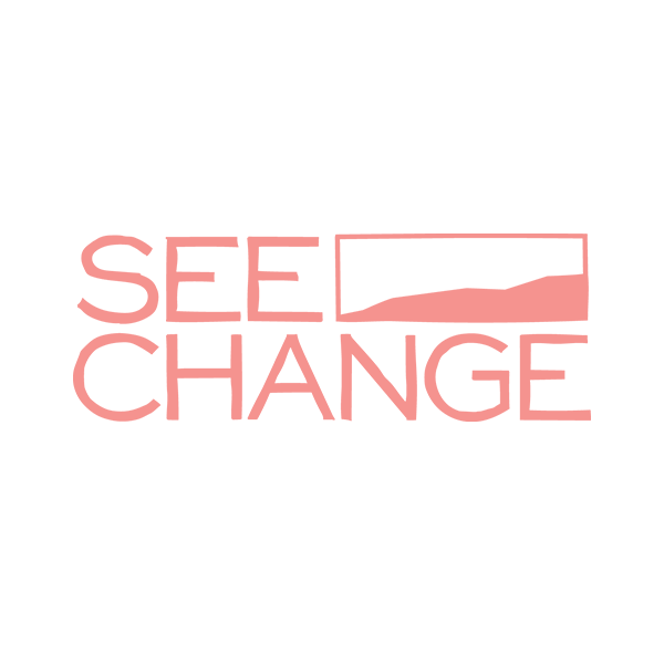 jkdc_identity-seechange.png