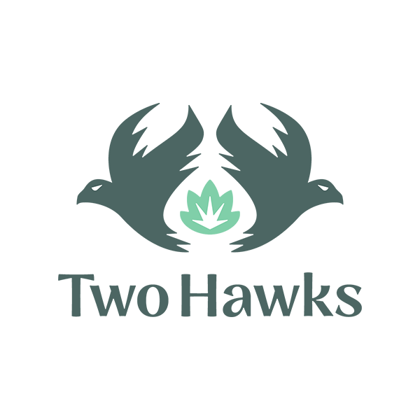 jkdc_identity-twohawks.png