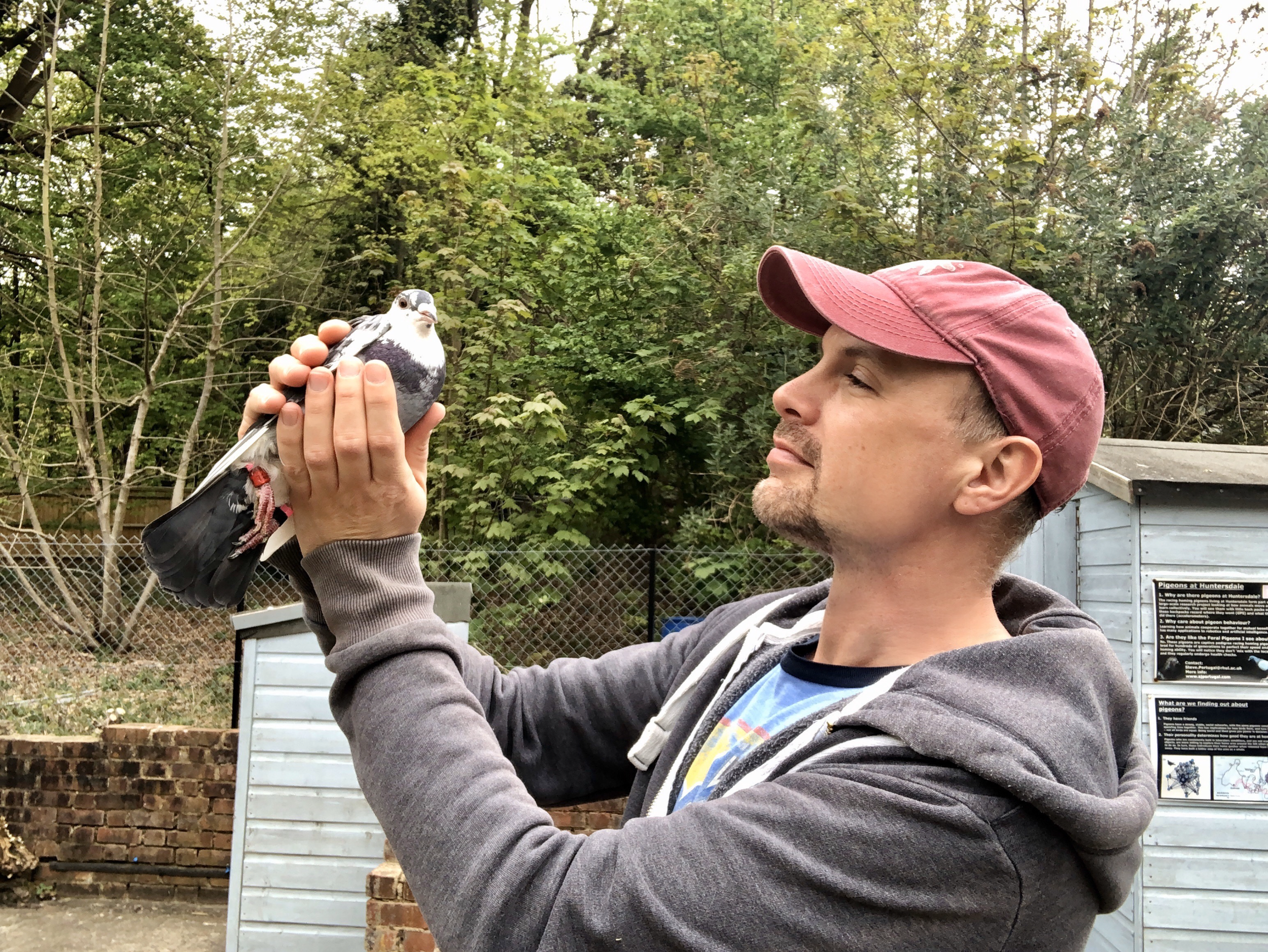 "The Symphony of Flocks: Collective Behaviour in Birds" - Professor Steve Portugal (University of Oxford)