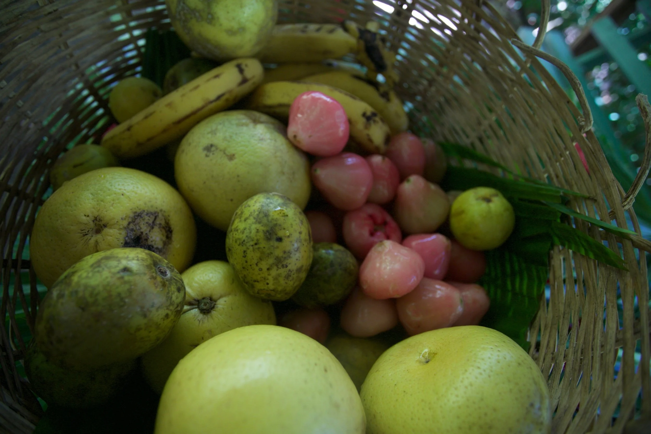 All the island fruit we we were tasting, oh there is nothing like it:) Photography Courtesy of The Aisle Photography