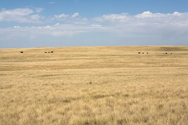 Sioux County, Nebraska (2007)
