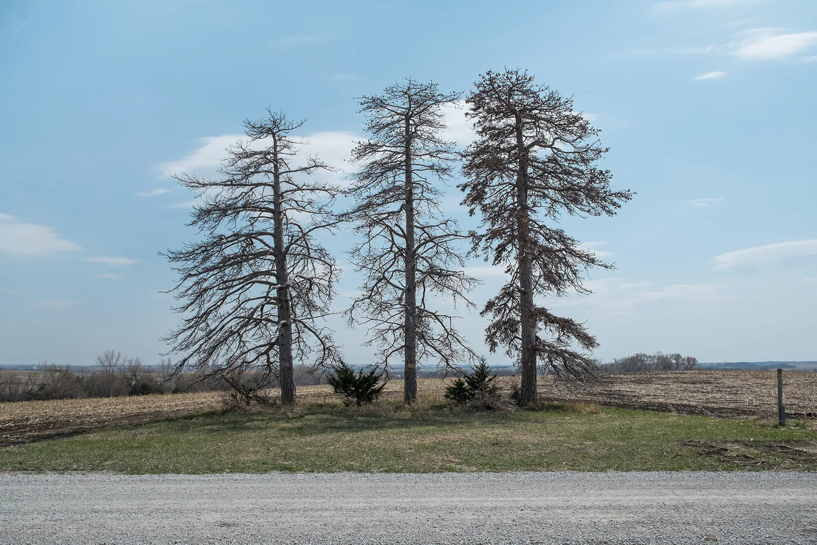 near Douglas, Nebraska