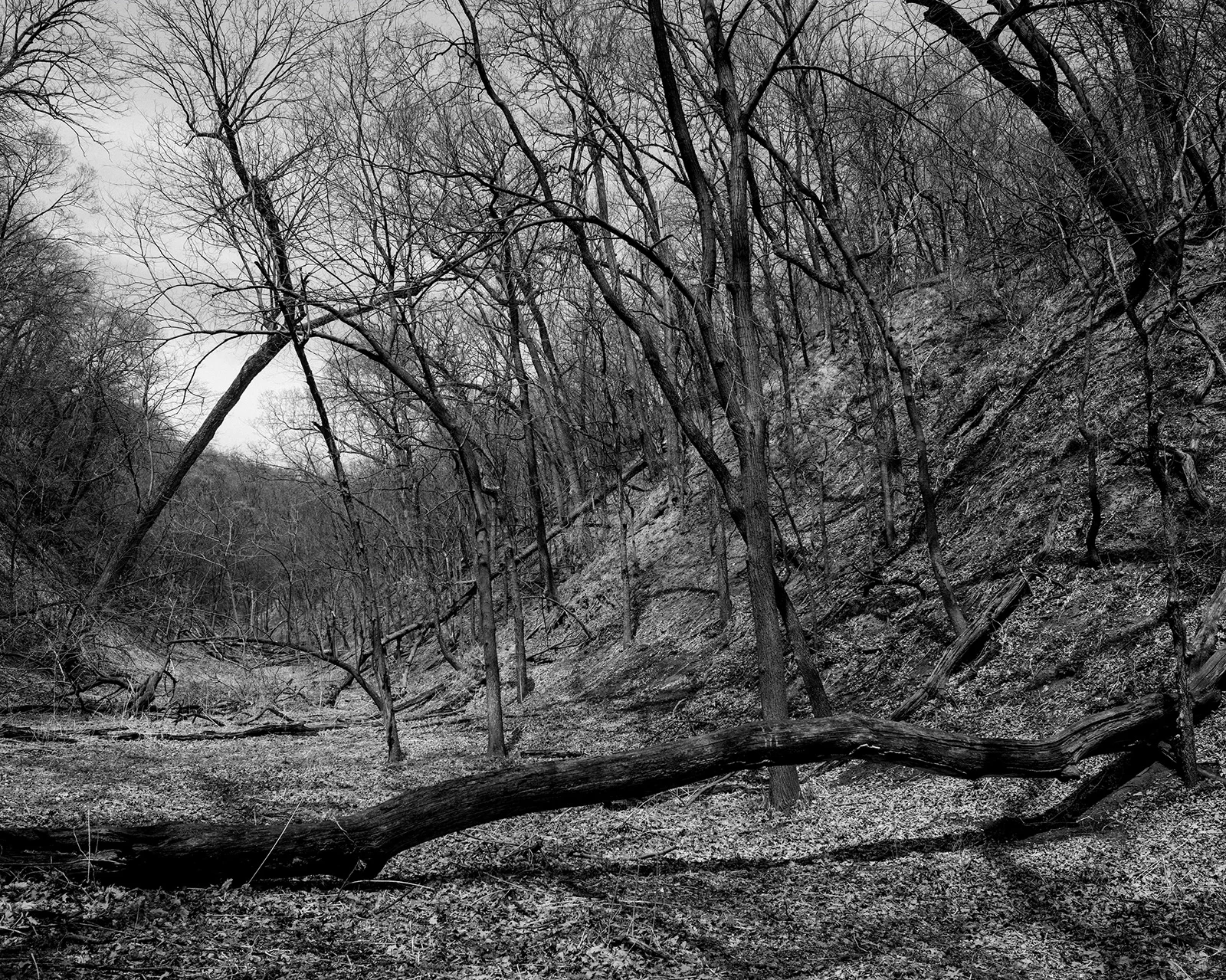 from Fontenelle , 2014.