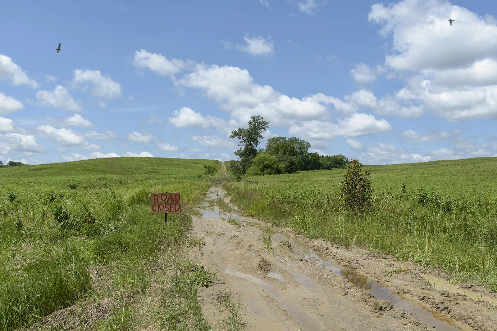 Harrison County, Missouri