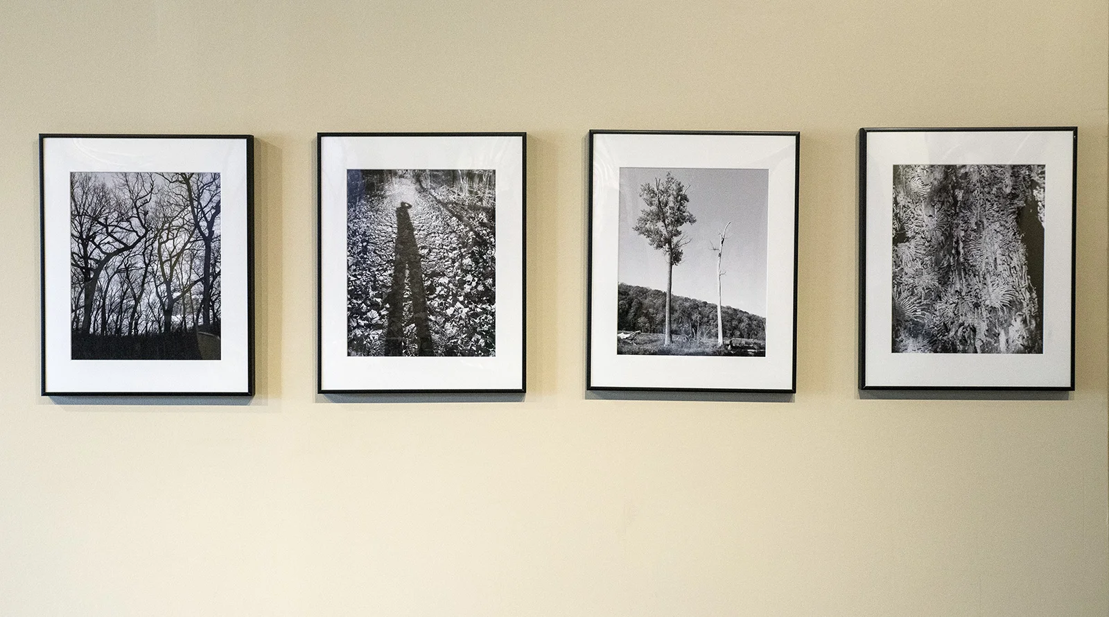 exhibition1.jpg