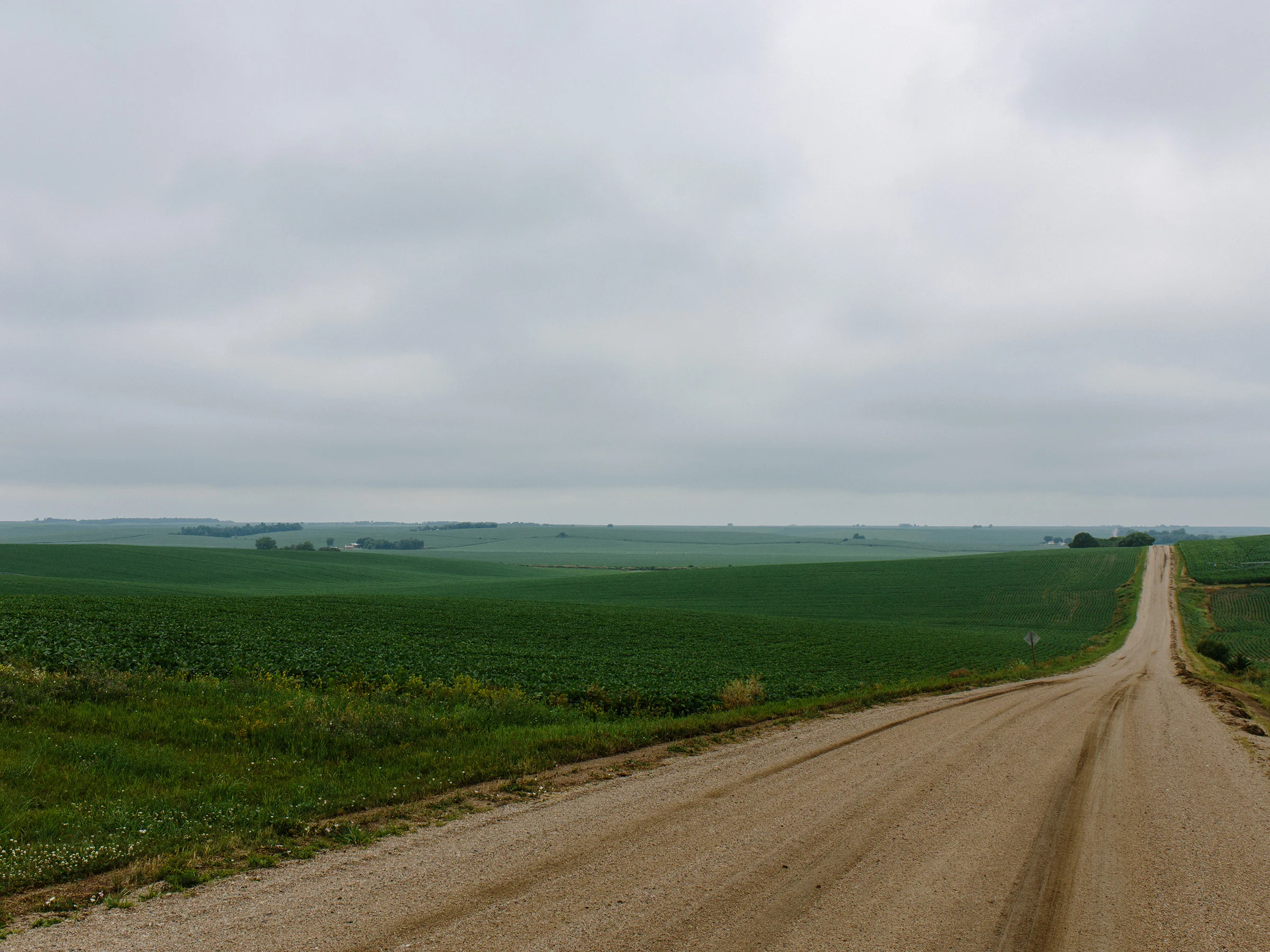 View from Palestine Baptist Church near Lindsay