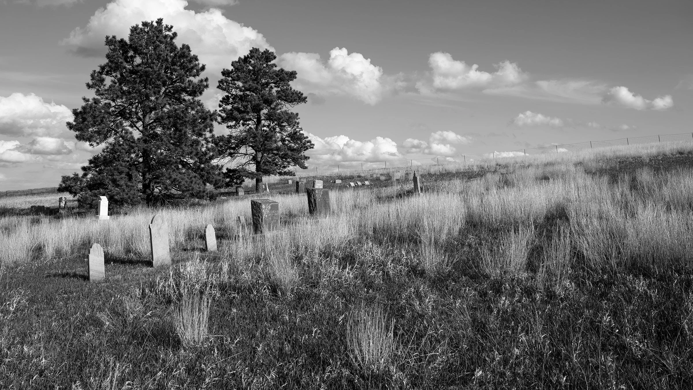 _VAV0277marsland.jpg