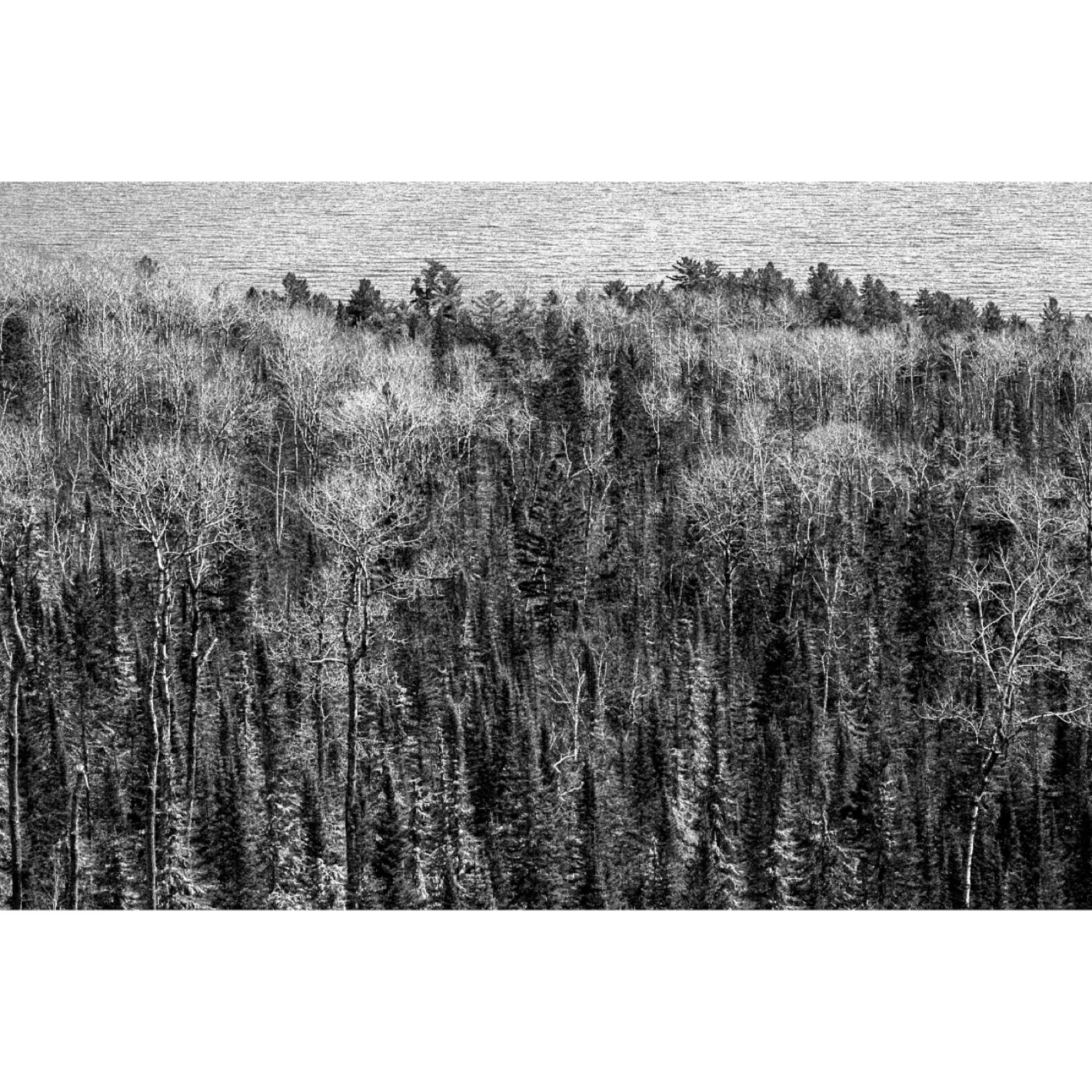 Lake Superior, Grand Portage, Minnesota. 2025. #blackandwhitephotography #landscapephotography #minnesota #northshore