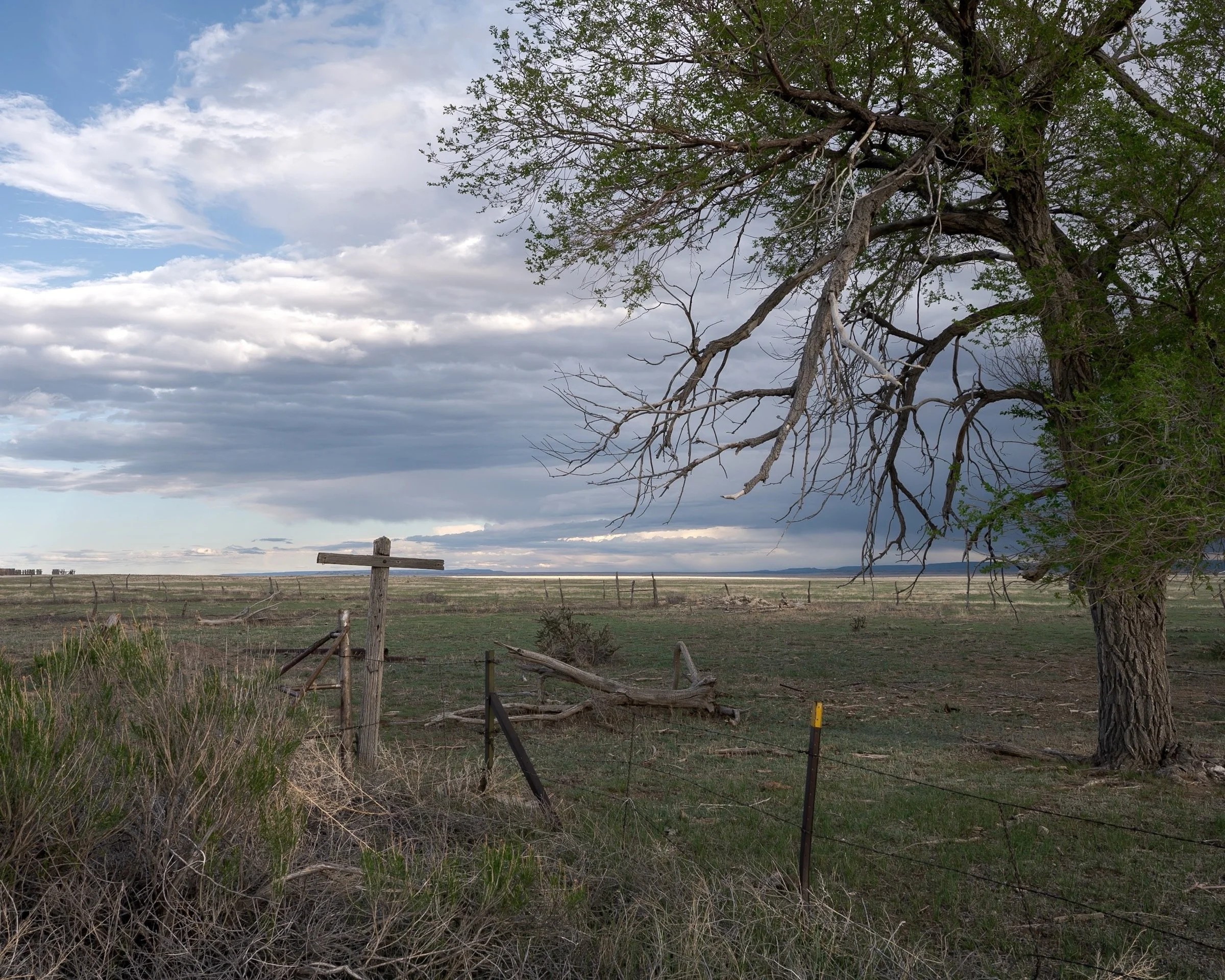Model, Colorado. 2024. #landscapephotography #greatplains #eveninglight #santafetrail