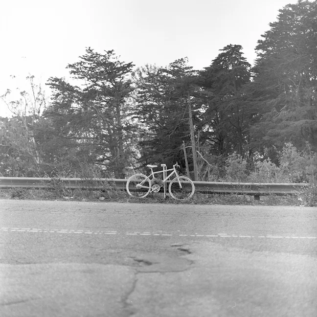 img832 copy.jpg
