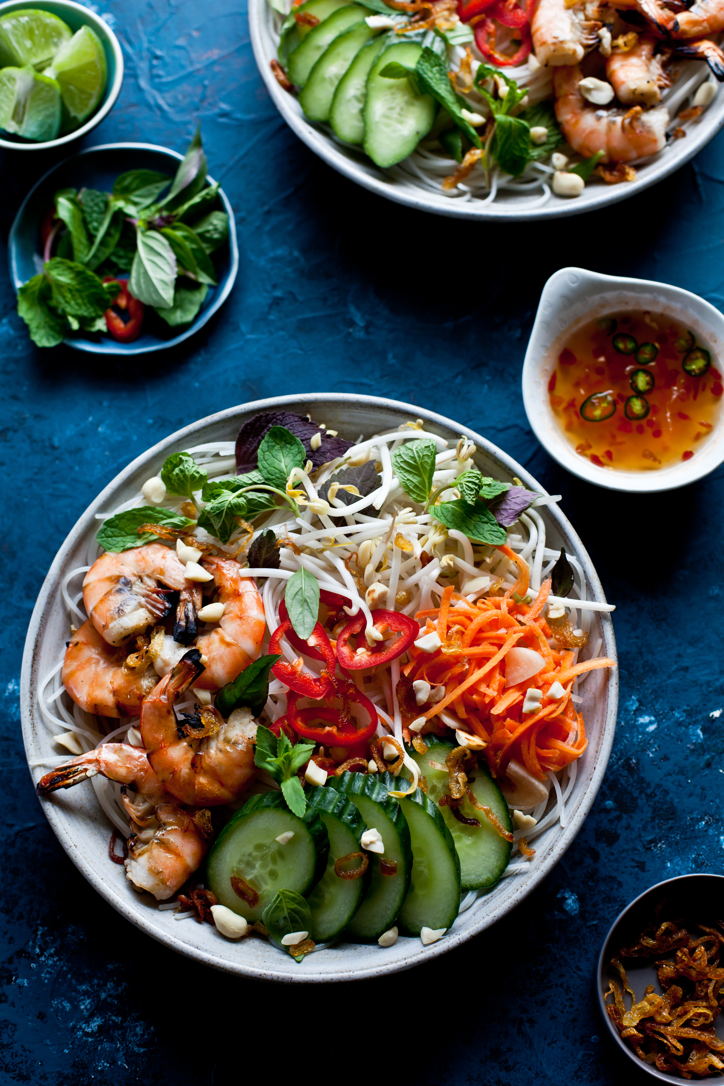 Helene Dujardin Test Shoot Vietnamese Shrimp