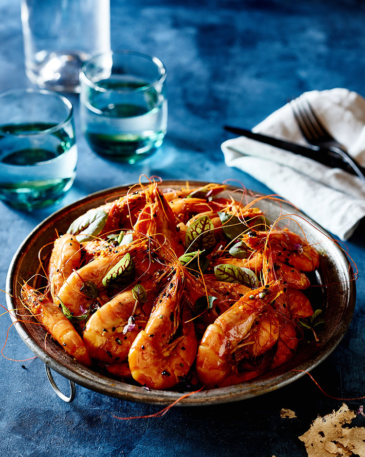 Stephen Devries Shrimp Test