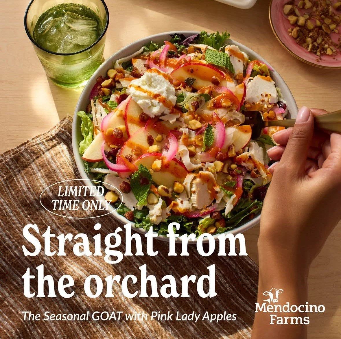 Screenshot 2025-12-08 at 11.42.56 AM.jpeg