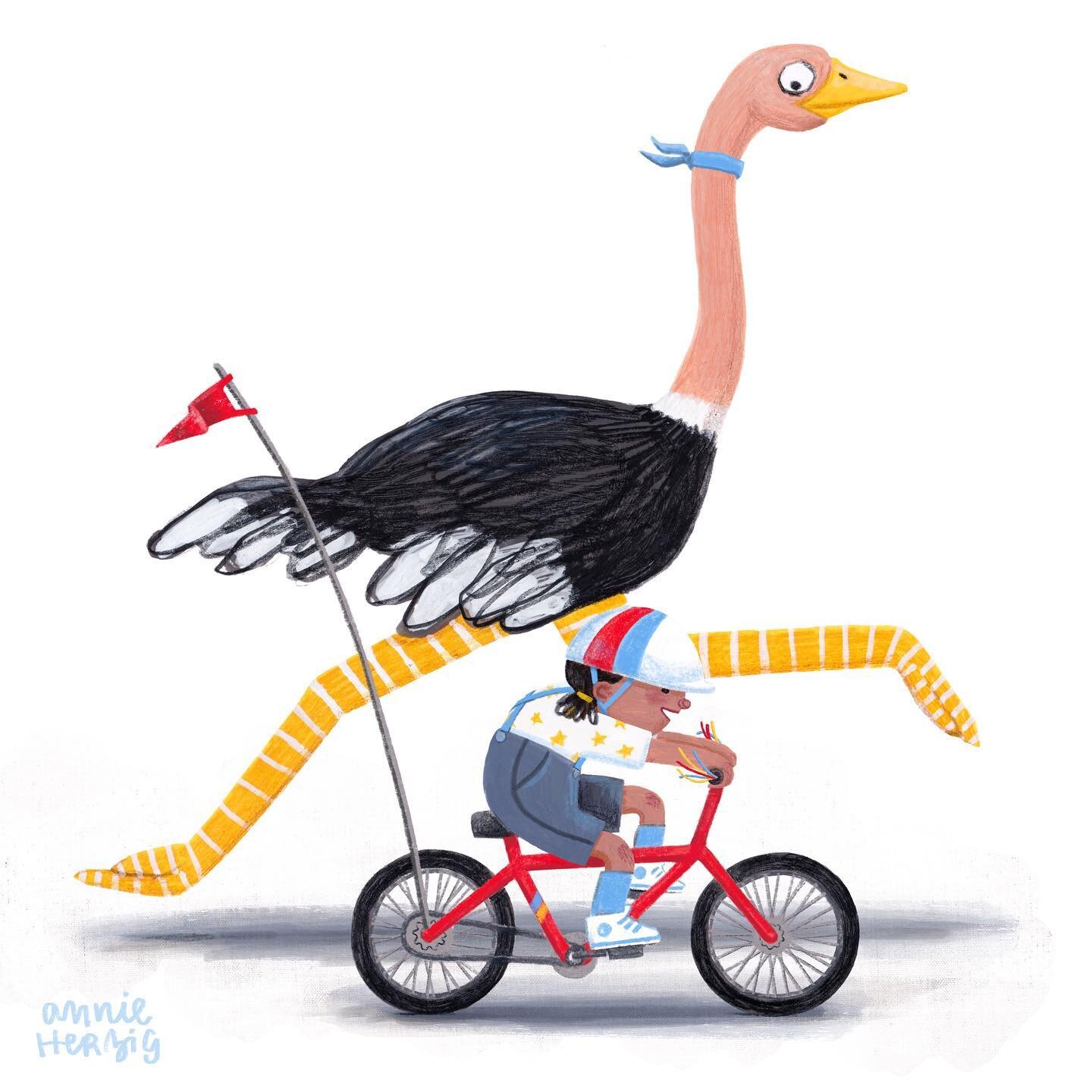 Ostrich pets need quite a lot of exercise as you can imagine. They have to stretch out those long stilts on which they stand.  Luckily Lyla is a very fast rider of bikes and takes Ozzy out for daily races up and down the block.