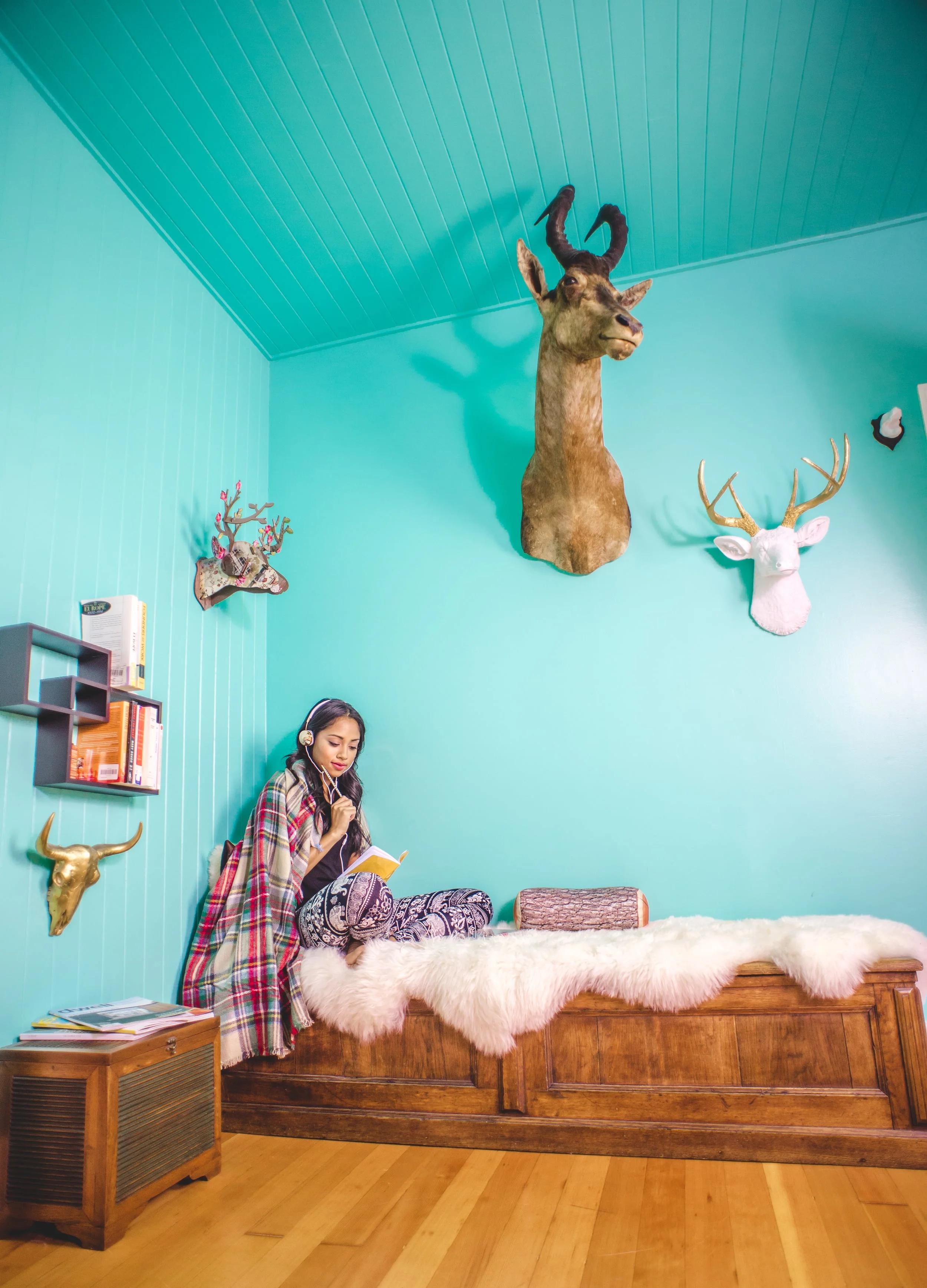 ModCloth Final-2.jpg