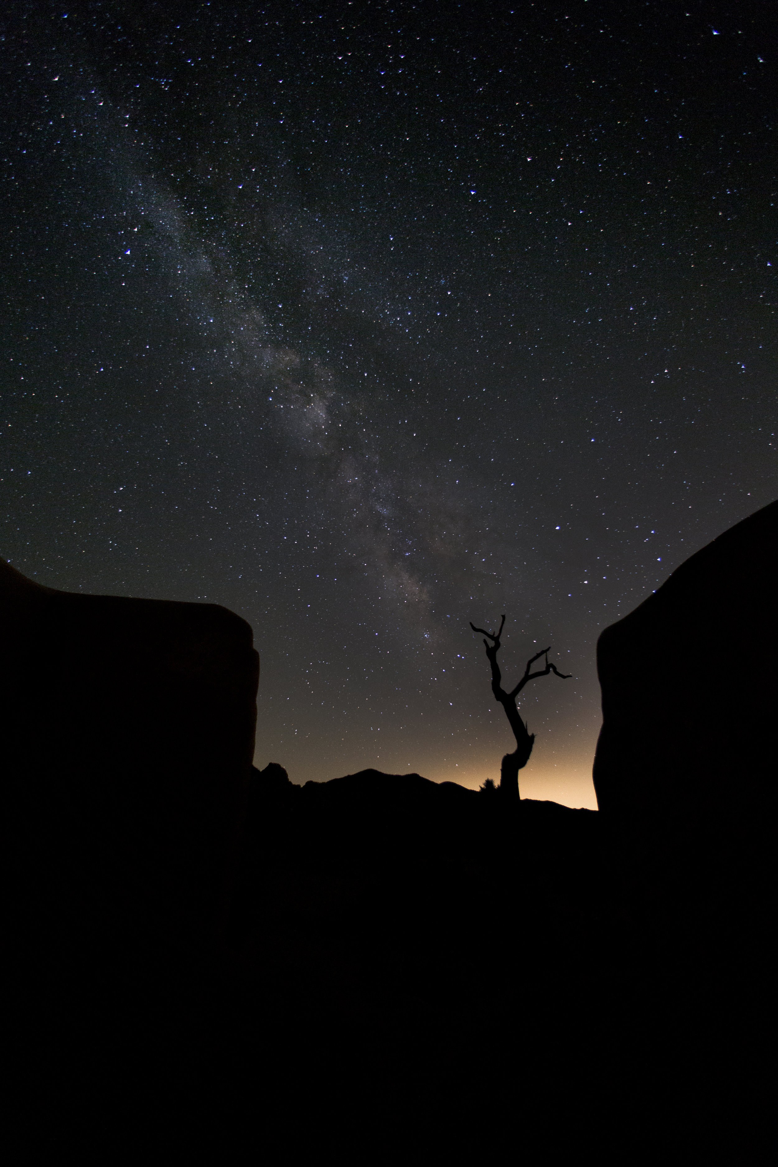 Ryan Ranch, Joshua Tree National Park, June 2016