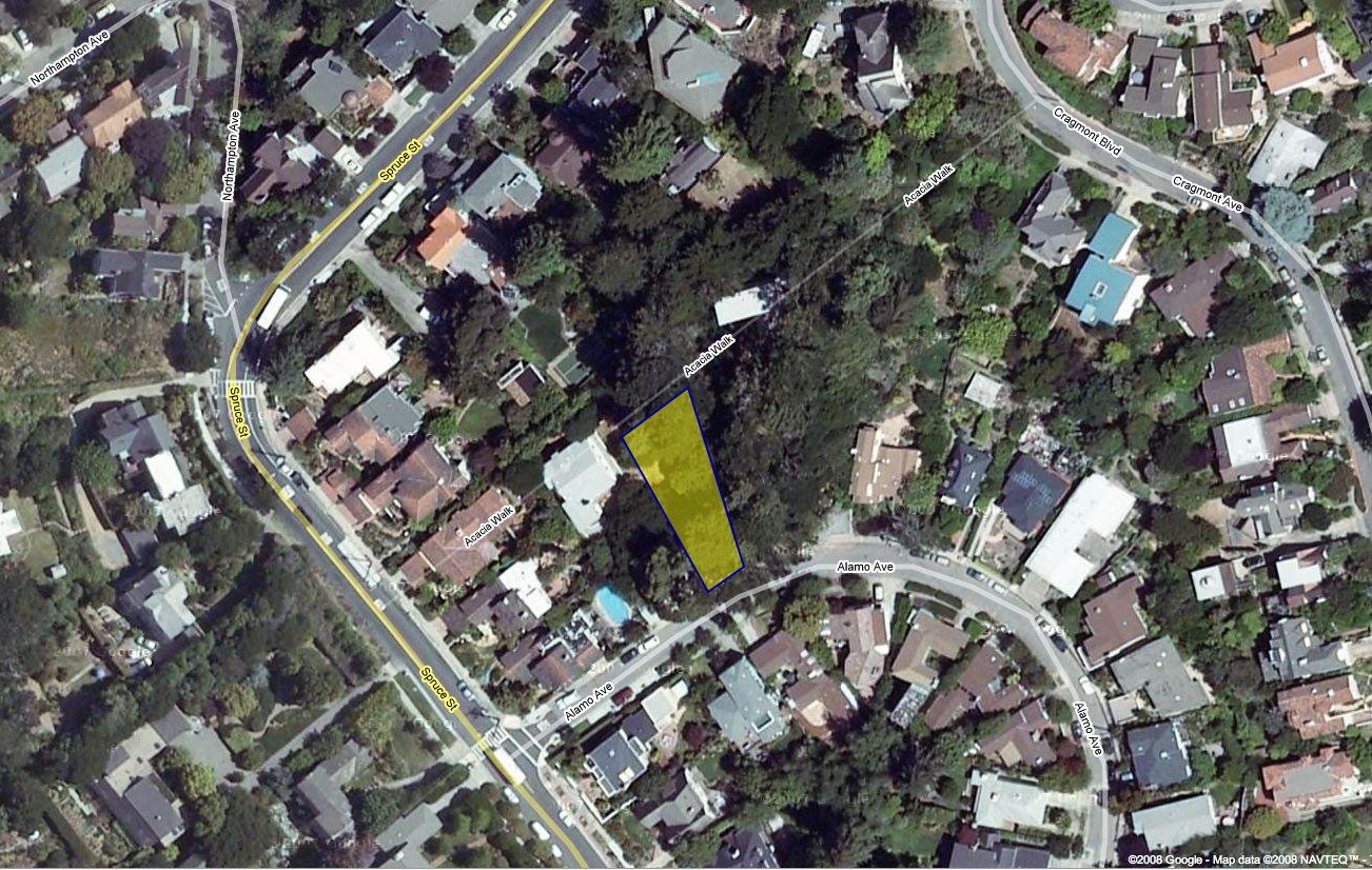 google satellite.jpg