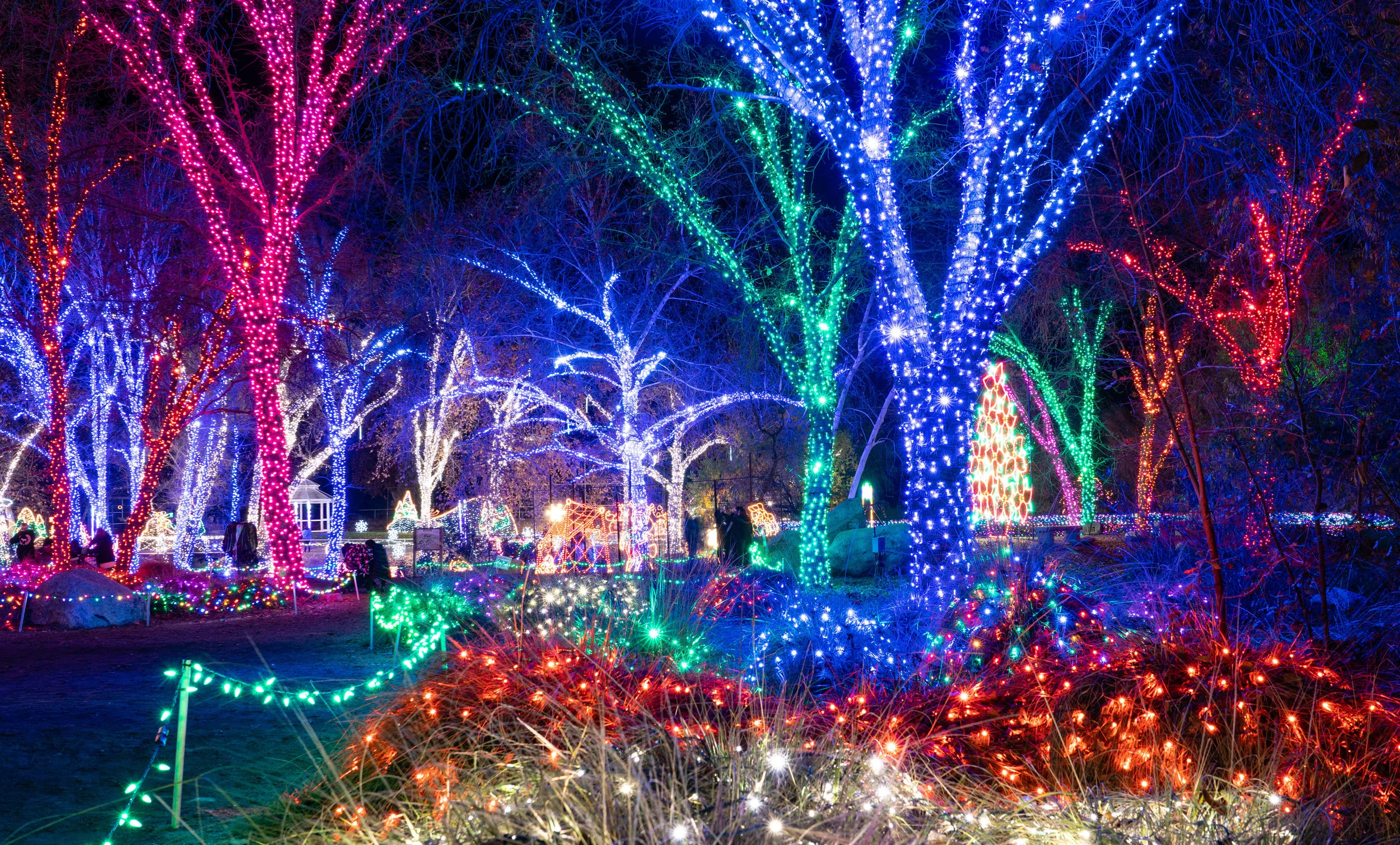 Holiday Lights Calm-61.jpg