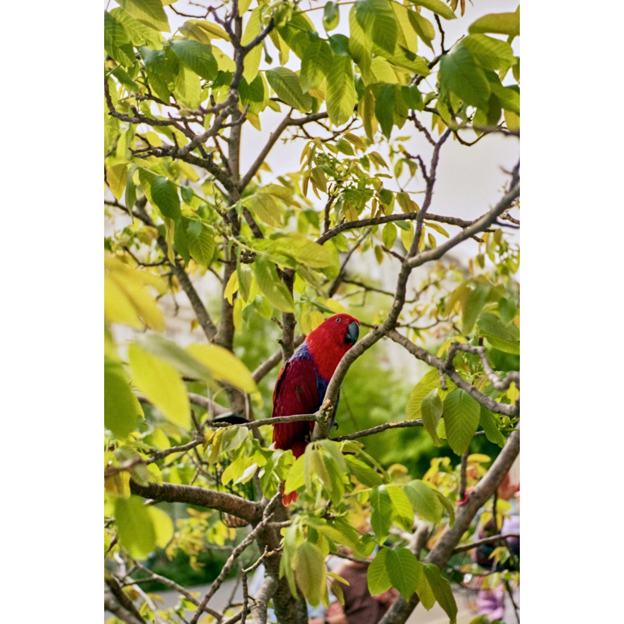 BERLIN_2024_047 1.jpg