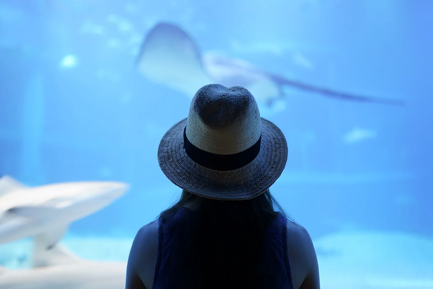 self-portrait-aquarium.jpg