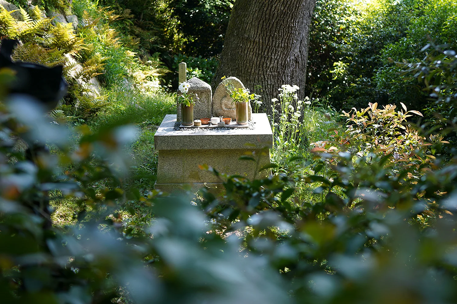 shrine-in-forest.jpg