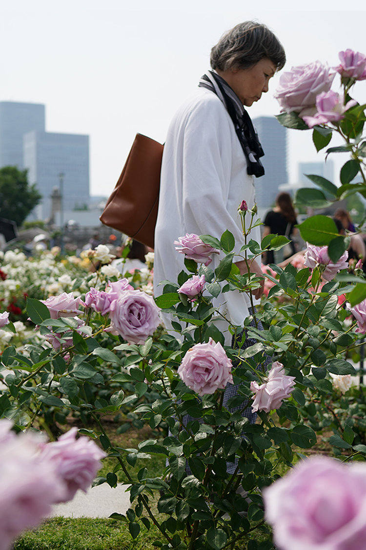 woman-rose-garden.jpg