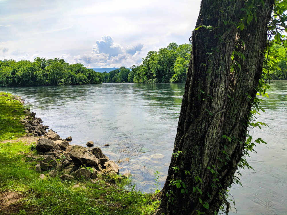 Clinch River Day Shot.jpg