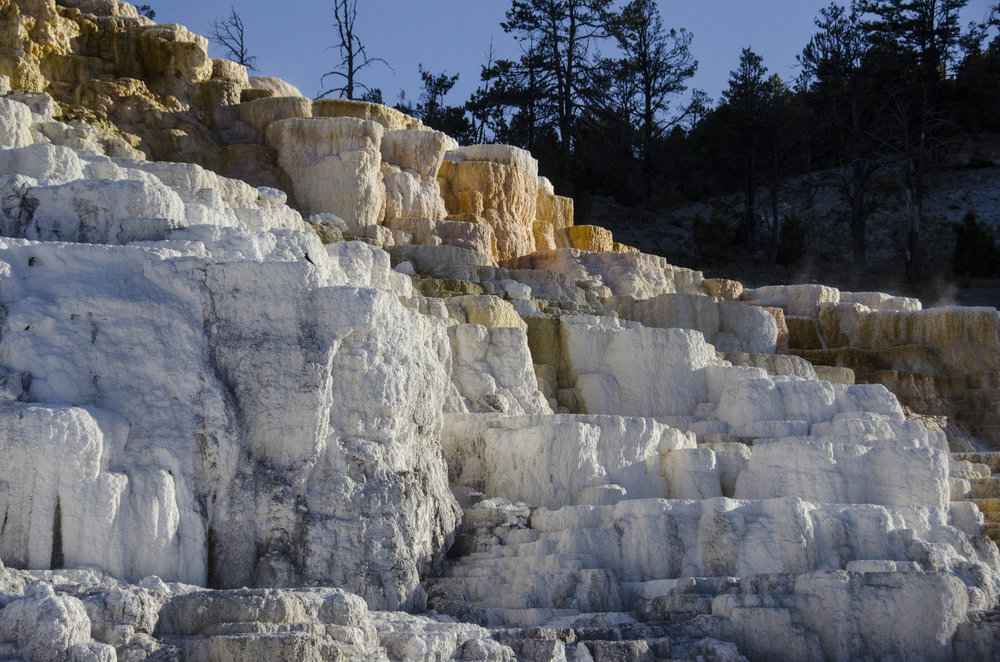 (need name) Mammoth Springs 2 - 20180614_0027.jpg