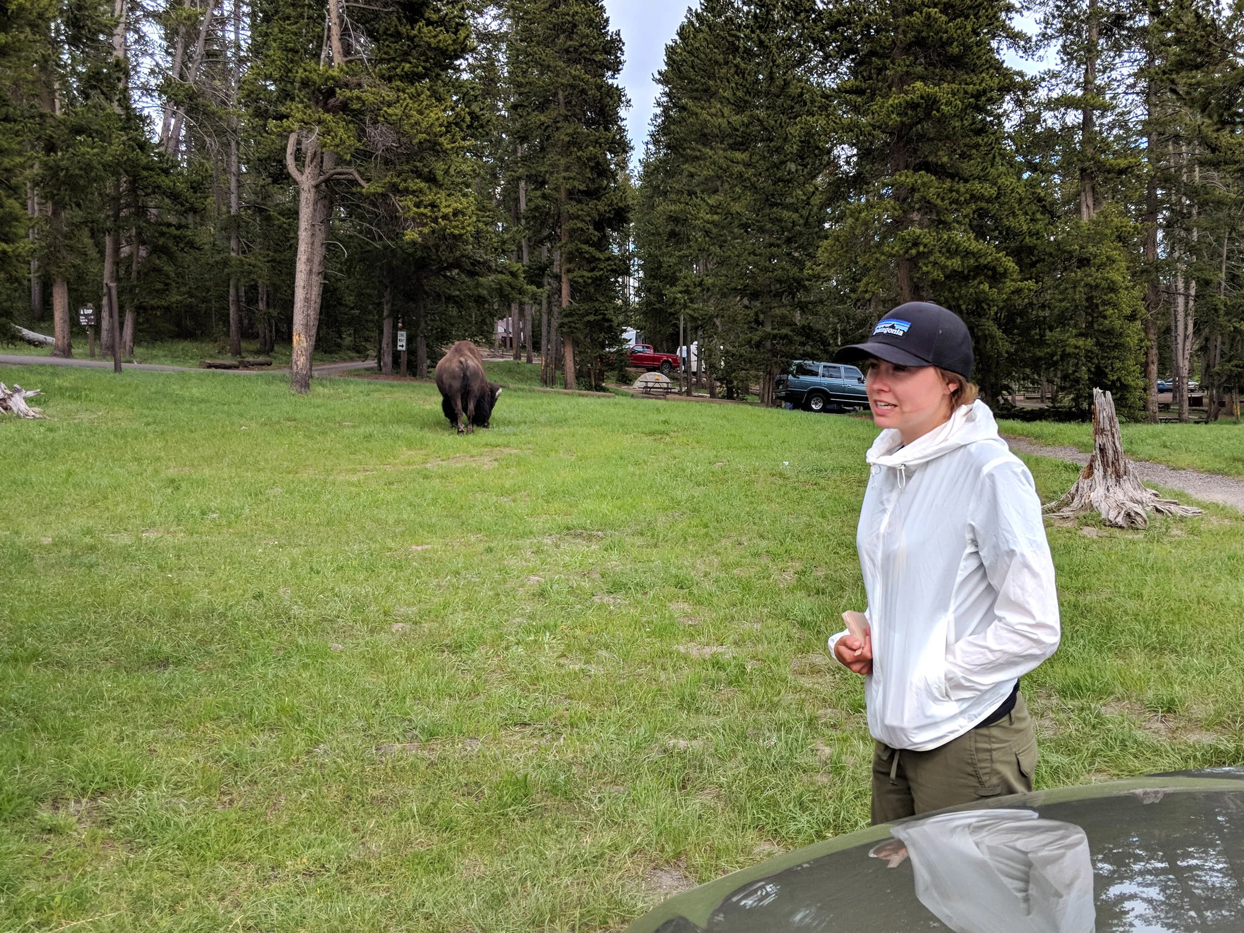 IMG_20180614_175034 - Kinsey and Bison copy.jpg