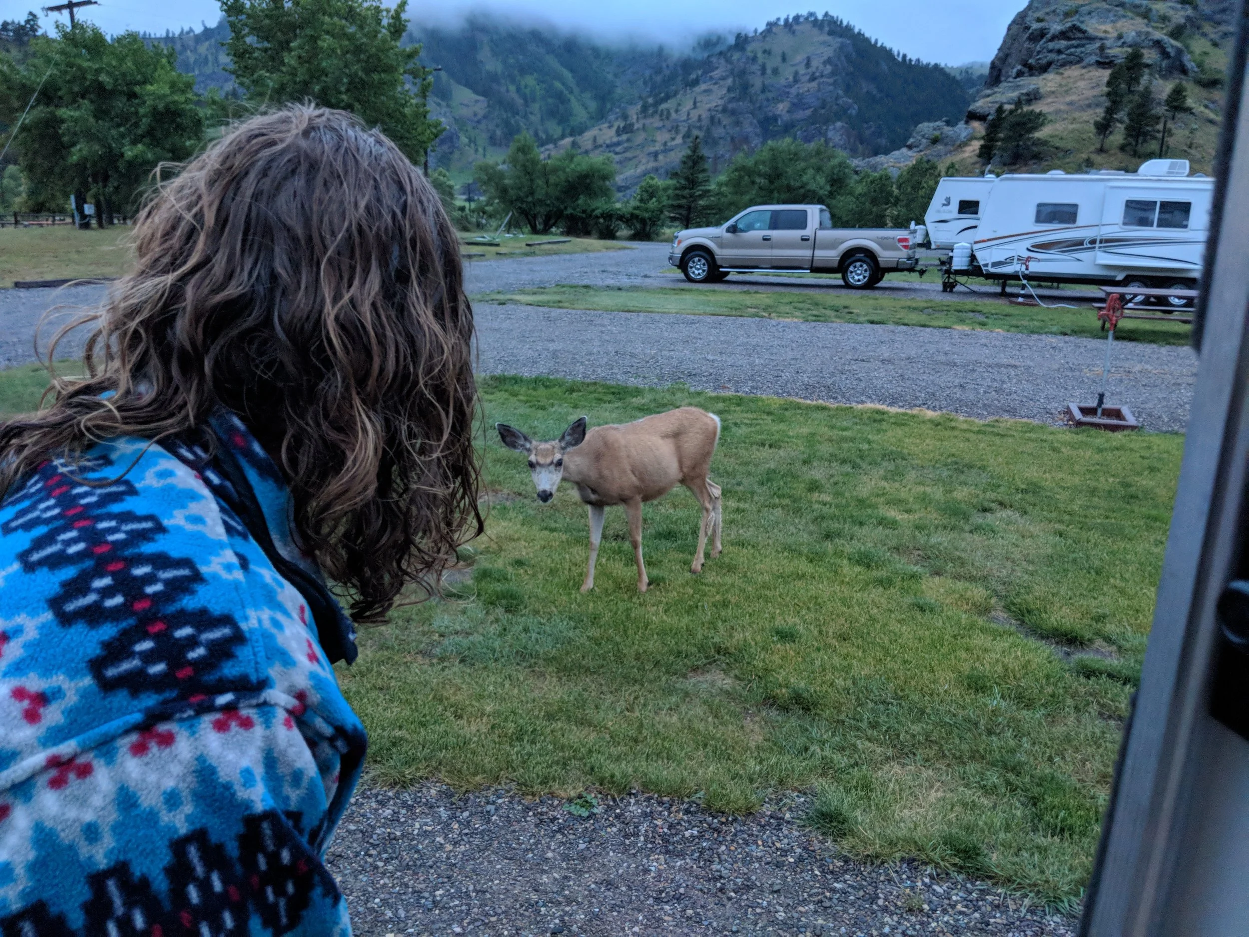 IMG_20180618_212803 - the staredown.jpg