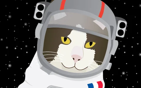 space_kitty_feature.jpg