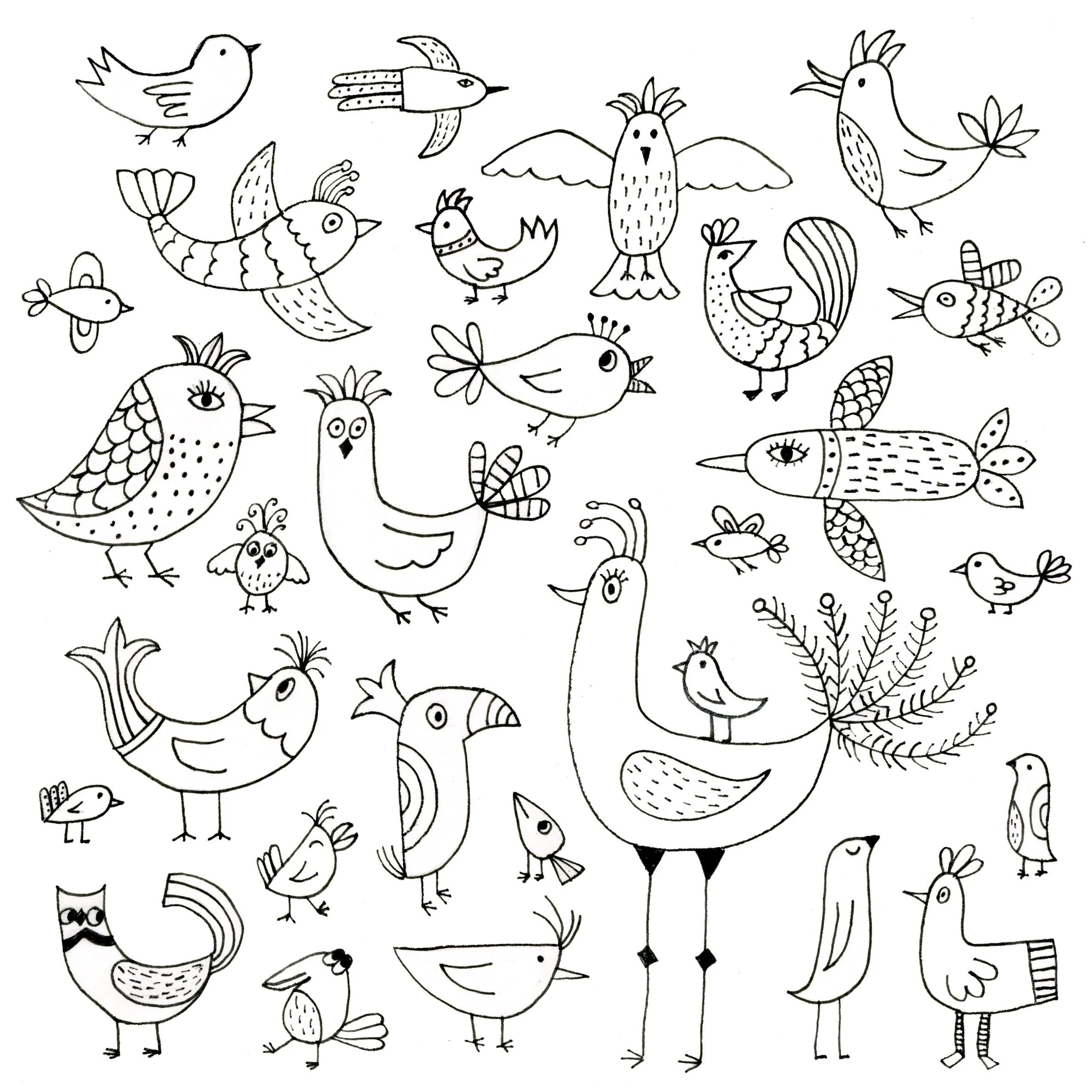 Let's Draw Birds with Personality